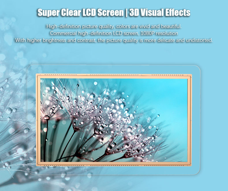Supper-clear-Hanging-Landscape-Double-LCD-Display