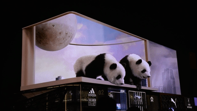 Naked eye 3D Panda in China
